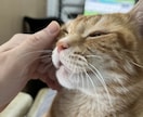 年は取ってみるもんだな。その心境をお伝えします 死にたいを含めて50年近くどうにかやってきてたどり着いた境地 イメージ1