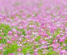 あなたはできる！大丈夫！全力で背中を押します お仕事/試験/筋トレ/趣味/家事/お風呂まで/超肯定で応援！ イメージ4
