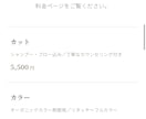 実績作りの期間/LPをAIで制作します 実績作り価格で、AI活用のスタイリッシュなLPを制作 イメージ9