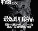 整理不要の記帳代行を提供します 毎月の領収証の整理、帳簿付け、会計仕訳丸ごと請け負います。 イメージ6