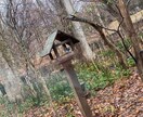 風景画になります 北海道エリアの風景画になります！よろしくお願い致します！ イメージ8