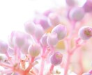 嬉しいこと!聞いて欲しい!お話し聞きます いい事があった!自慢話などお聞きします イメージ3