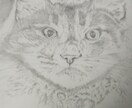 お好きな写真や絵をデッサン風イラストに描きます 思い出をイラストで残しましょう イメージ1