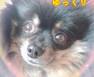 3時間、じっく〜り聞きます 楽しく、色々お話ししましょ〜♬ イメージ3