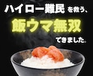 ハイロー終了でお困りの方へお届けします “次”が見つからないあなたに、新たな選択肢を。 イメージ1