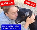 山羊座さん救済！プライド高いあなたの愚痴、聞きます 辛い！思いきって弱音を吐いてみよう。山羊座同士共感できます。 イメージ1