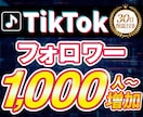 TikTok1000フォロワー増やします 拡散により1000フォロワー到達サポート！ イメージ1