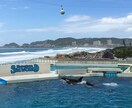 オススメ水族館、プランを提案致します イベントプランナーがあなたの旅をサポート‼︎ イメージ3