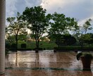 お仕事、家事お疲れ様です。お話聞きます 秘密は守ります。とにかく話がしたい、孫と話したい方へ。 イメージ6