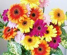 大切な人が《自死》をし苦しんでいる方お話聴きます 私は12年前…婚約者を結婚式の3ヶ月前に自死で亡くしました★ イメージ1