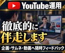 YouTubeの伸ばし方をビデオチャットで教えます YouTubeのプロがチャンネル運用を徹底的に伴走します！ イメージ1