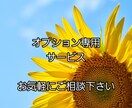 専用です！　内容についてお話し合い後鑑定致します それぞれご自分に合ったプランのご提案をさせていただきます イメージ1