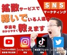 拡散サービスで稼いでいる人達の手法を教えます YouTube/インスタ/TikTok/Twitter/副業 イメージ1
