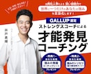 ストレングスファインダーで思考を構造化し整理します Gallup認定コーチによる思考・感情の言語化傾聴＋特典付き イメージ1