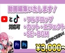 格安で見やすく、面白い動画を作ります 細かく丁寧にかつ、大胆に面白く編集します イメージ4