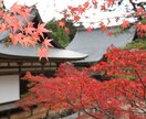 あなたの京都旅行をちょっと通なものにします 定番観光地に飽きてしまったあなたへ イメージ3