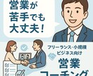 営業の悩みを丁寧にサポート！不安を安心に変えます “売り込まずに売れる”営業スタイルで解決します！ イメージ1