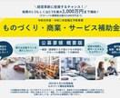 ものづくり補助金計画書を添削し採択させます 金融機関出身中小企業診断士が補助金採択を全力でサポートします イメージ1