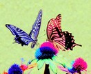 ピンと感じた方、話/プチ占/助言いたします ヒーラー/スピ感/傾聴/占/医療従事/転職/苦/がキーワード イメージ1