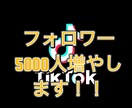 Tik Tokフォロワー5000人増やします Tlk Tokのフォロワーを5000人増やします！ イメージ1