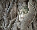 貴方のギフトをお伝えさせて頂きます 自分軸で生きる喜び、豊かな日々が始まります イメージ3