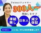 Twitter日本人フォロワー300人〜増やします 日本人のみ！いいね、RTも300件〜増加！ イメージ1