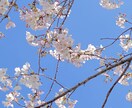 ちょっと聞いてー！のお言葉に寄り添います あなたのココロに寄り添い、思いを受け止めさせていただきます！ イメージ8