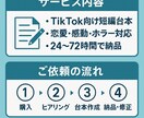 初心者歓迎TikTokショート動画の台本つくります 1分以内で使えるストーリー台本をオーダーメイドで作成します！ イメージ3