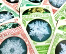 オラクルカード✨離婚を癒すバッチフラワー占います 離婚から立ち直り幸せへと繋がる3つメッセージをお伝えします イメージ1