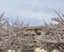 男の子のママ悩み、相談聞きます 4兄弟のママです！今悩んでいるママ！一緒に解決しませんか？ イメージ1