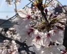 あなたに向いているお仕事！生年月日でわかります 四柱推命という占術で、あなたの才能による活躍を後押しします！ イメージ3