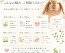 食欲・ケア・性格等、うさぎ飼育のお悩み相談受けます 初心者さんから、長年一緒に暮らす方まで、丁寧に相談受けます イメージ2