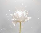 今抱えているお悩み人生についてゆっくりお聞きします タロットで心を優しく読み解きます イメージ2