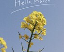 sns用記念日・子ども向け写真に文字入れします その一日に、ちょうどいい言葉を。 イメージ4