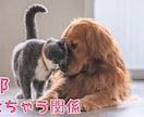 YouTubeの猫サムネイルを格安で作成ます 格安・クリック率UP・素早い！猫専門サムネイルデザイン イメージ7
