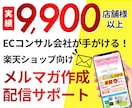 限定価格★楽天HTMLメルマガ作成と配信代行します 集客率を高める効果的な効果的な文章作成＆配信を代行します イメージ1