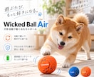 Amazon・楽天などのEC商品画像を制作します イメージが曖昧でもOK。商品の魅力が伝わる画像に仕上げます イメージ5