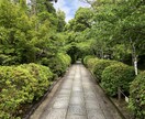 誰にも言えないあなたの悩み聞きます 今すぐ相談！相談して少しでも楽に！！！京都弁対応です^_^ イメージ1