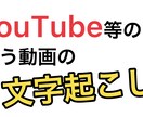 YouTube等で使う動画の文字起こしをします 【まるなげOK】私があなたの代わりに動画の文字起こしをします イメージ1