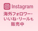 インスタグラムの日本人フォロワーを増やします インスタ日本人フォロワー100人以上増加 イメージ2
