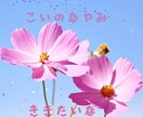 ホロスコープ鑑定！1年間の運勢をタロットで告げます 即納★50%off！今後12ヶ月間の流れを予知宣告いたします イメージ8
