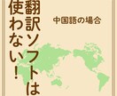 我们提供多语言网站制作服务（”ます”自动添加）ます 支持英语、韩语、法语、德语等语言制作 イメージ2