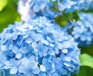 気楽になんでも◎心にしまっているお話お聞きします 男性限定。誰にも言えないでも言いたい。気持ちを軽くしませんか イメージ9