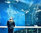 アイロン転写シート（カス取りあり）作成ます 低価格でオリジナルのアパレルを！ イメージ3