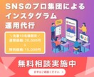 SNS運用のプロがインスタを使って集客を行います フォロワーの獲得から集客までインスタ運営丸投げOK！ イメージ1