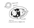 アナログでシンプル可愛いイラストを描きます 素朴で可愛い手描きイラスト！物、女の子、動物、何でも描きます イメージ5