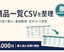商品一覧CSVの列整理・重複削除を代行します 先頭ゼロを保全｜加工済みCSVと変更記録を納品 イメージ1