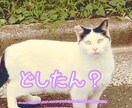 お姉ちゃんとして話を聞きます 60分間あなたの話を聞かせて下さい。 イメージ1