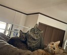 ざっくばらんに聞きます まとまった文面じゃなくても大丈夫です(^.^) イメージ1