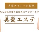 ペライチでオリジナルのLP作成いたします 格安で高品質！初めての方もご安心ください！ イメージ2